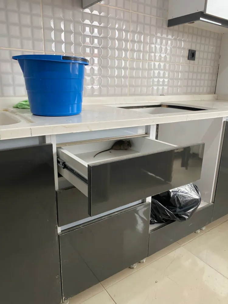 Fareli köyün kavalcıları…