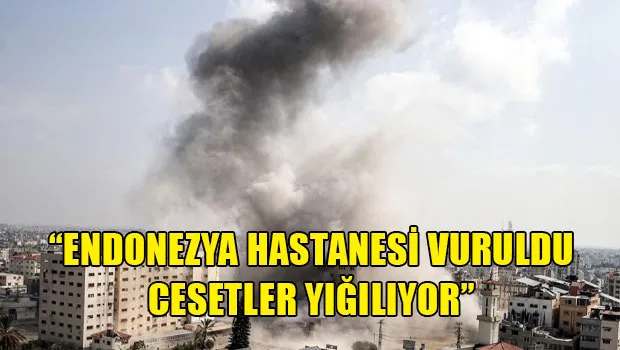 Bebek Katilleri Endonezya Hastanesini kuşattı 