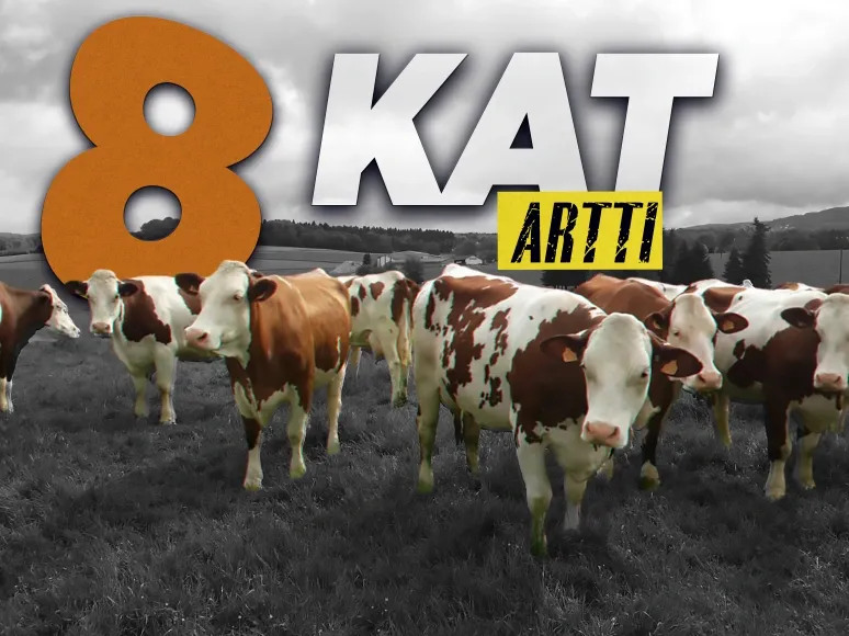 Hayvan ithalatı yüzde 799 arttı