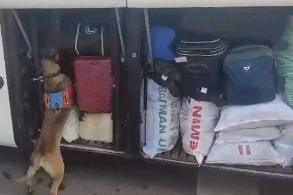 Yolcu otobüsünde 3 kilogram uyuşturucu madde ele geçirildi