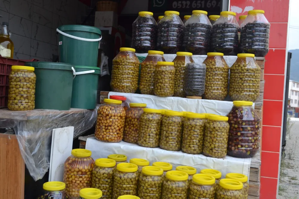 Doğal zeytinyağı seçimi yaparken nelere dikkat edilmeli?