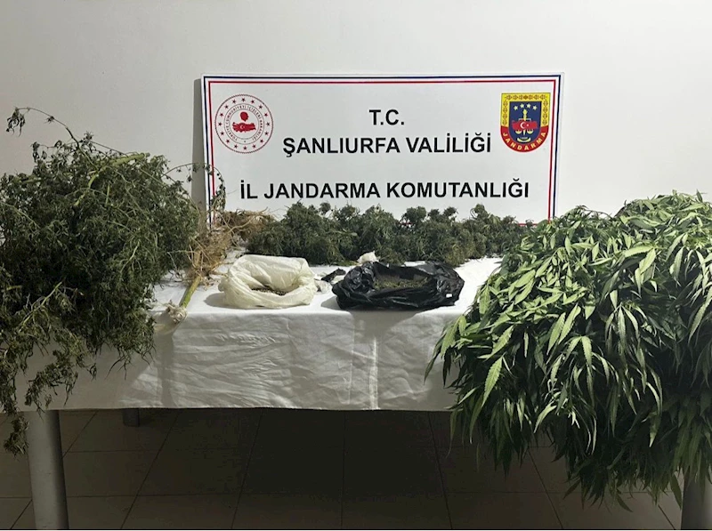 Şanlıurfa’da kilolarca uyuşturucu ele geçirildi: 9 gözaltı 