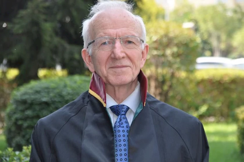 Prof. Dr. İbrahim Özden Kaboğlu, İstanbul Barosu