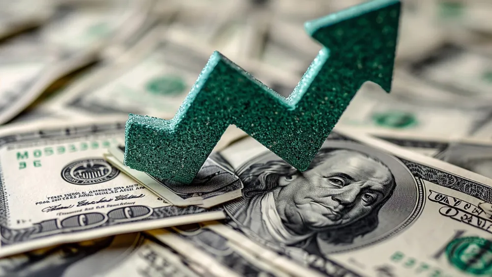 Dolar yüzde 24 değerlendi! 