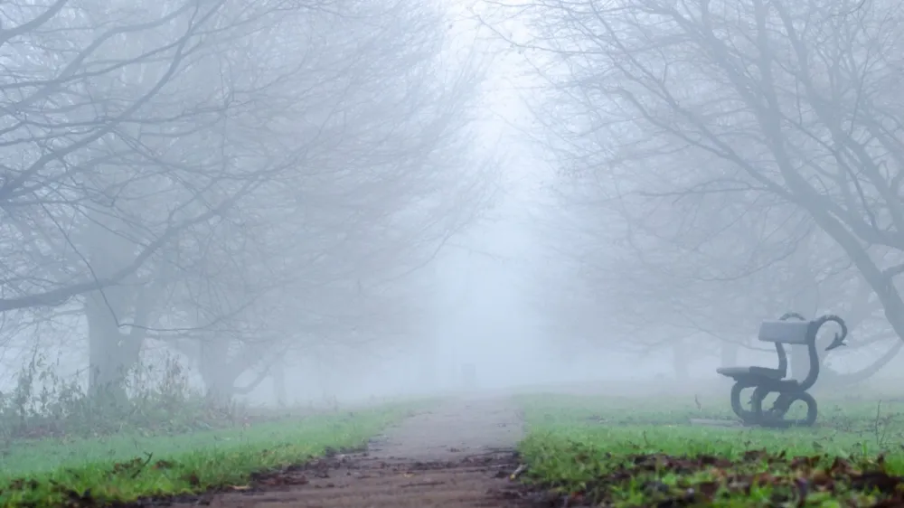 Meteoroloji uyardı: Yağış beklenmiyor, pus ve sis etkili olacak