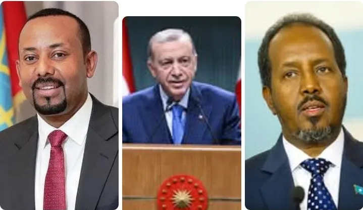 Hassan Sheikh ve Abiy Ahmed Türkiye Arabuluculuğuna Katıldı
