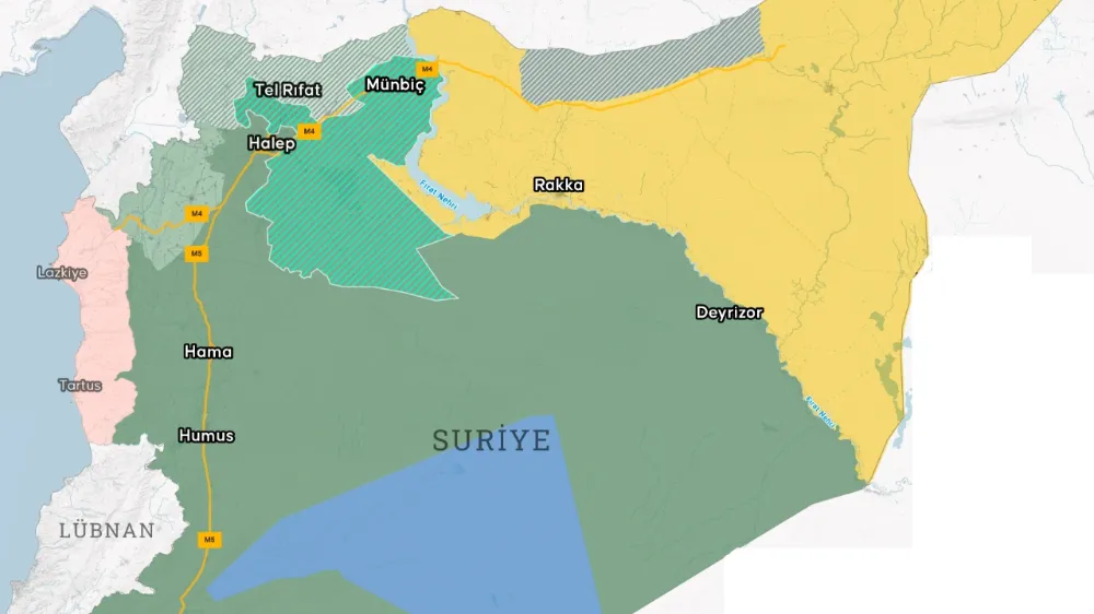 Uzmanlar uyardı: Türkiye derhal terörü temizlemeli