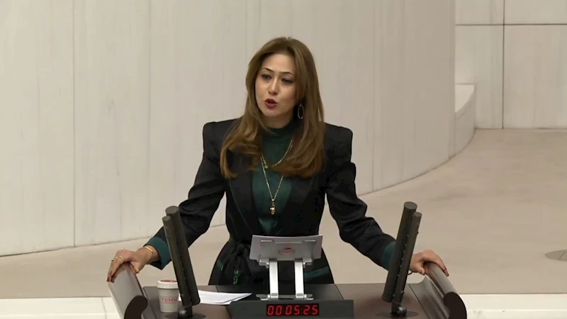 MHP’li vekillerden emniyet personeli ve göç politikalarına ilişkin önemli mesajlar 