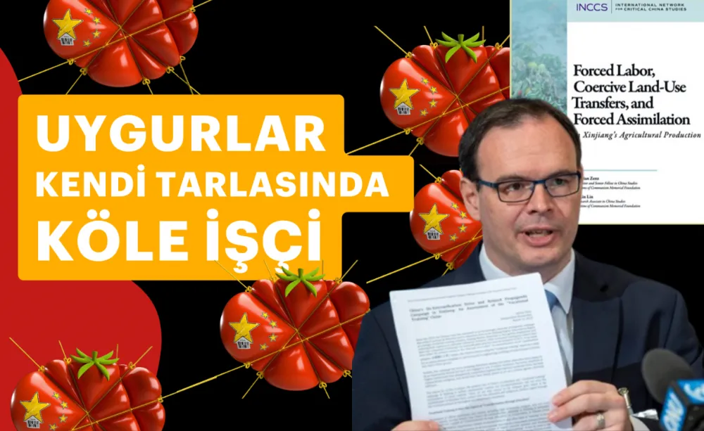 Kendi tarım arazilerinde zorla çalıştırıyor