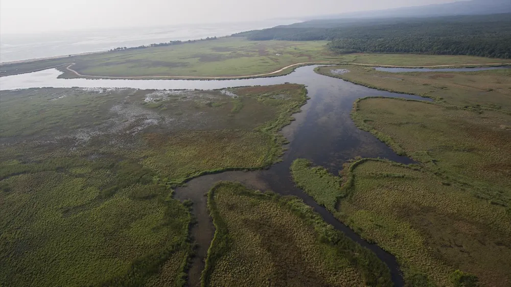 6 bin 418 sulak alan kayıt altına alındı