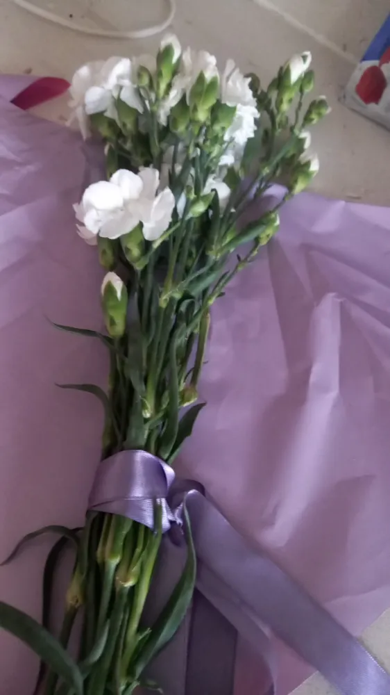 “Çiçek Sepeti” de Dolandırıcı çıktı!!!