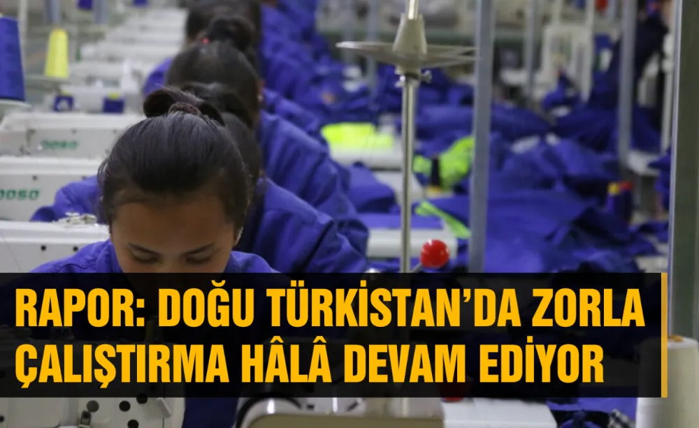 Doğu Türkistan’da zorla çalıştırma hâlâ devam ediyor