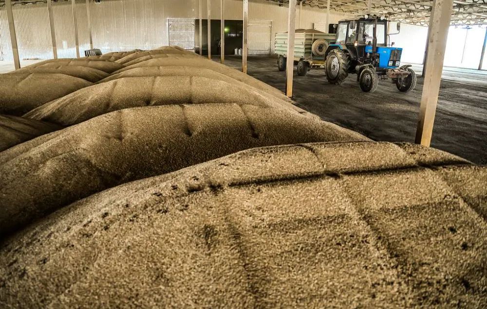 Rusya küresel tahıl savaşını kazanıyor