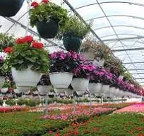 Çiçek göndermek yerine, falanca derneğe bağış kampanyanız hiç etik değil!