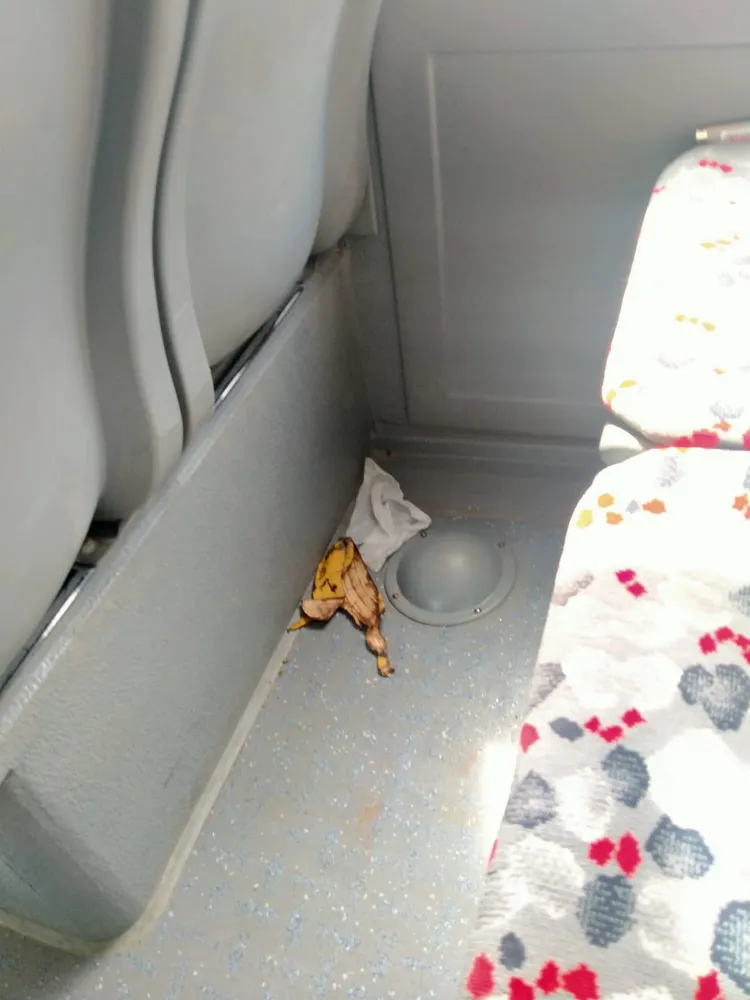 Bunun adını ne koyalım?