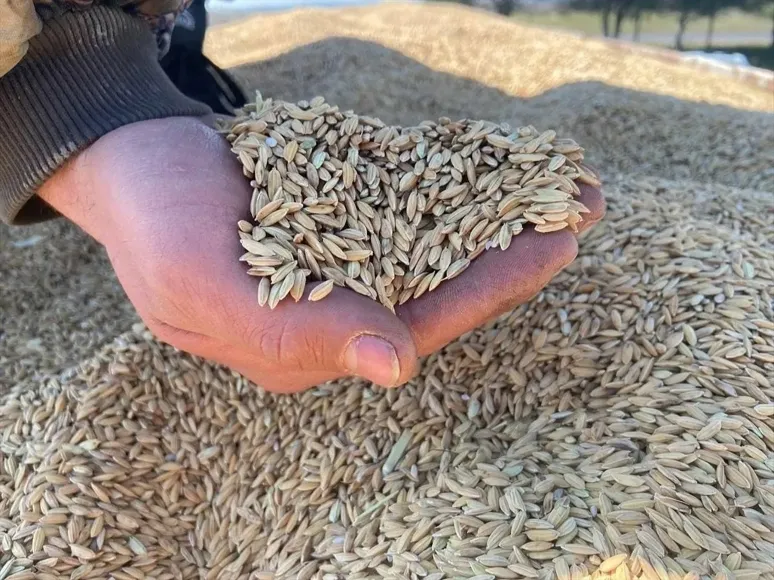 Vatan Partisi Çiftçi Bürosu Başkanı Özdemir: Üretime darbeye izin vermeyiz