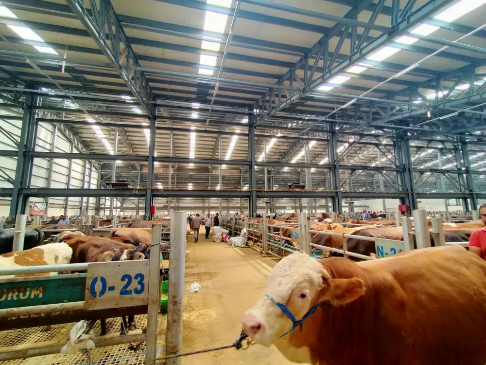 Bayram havasından çok uzak…