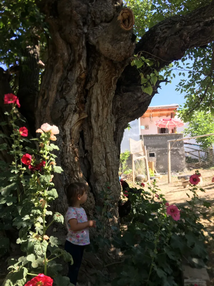 KANGAL’DA SU KAYNAKLARINA GÖZ DİKTİLER! 