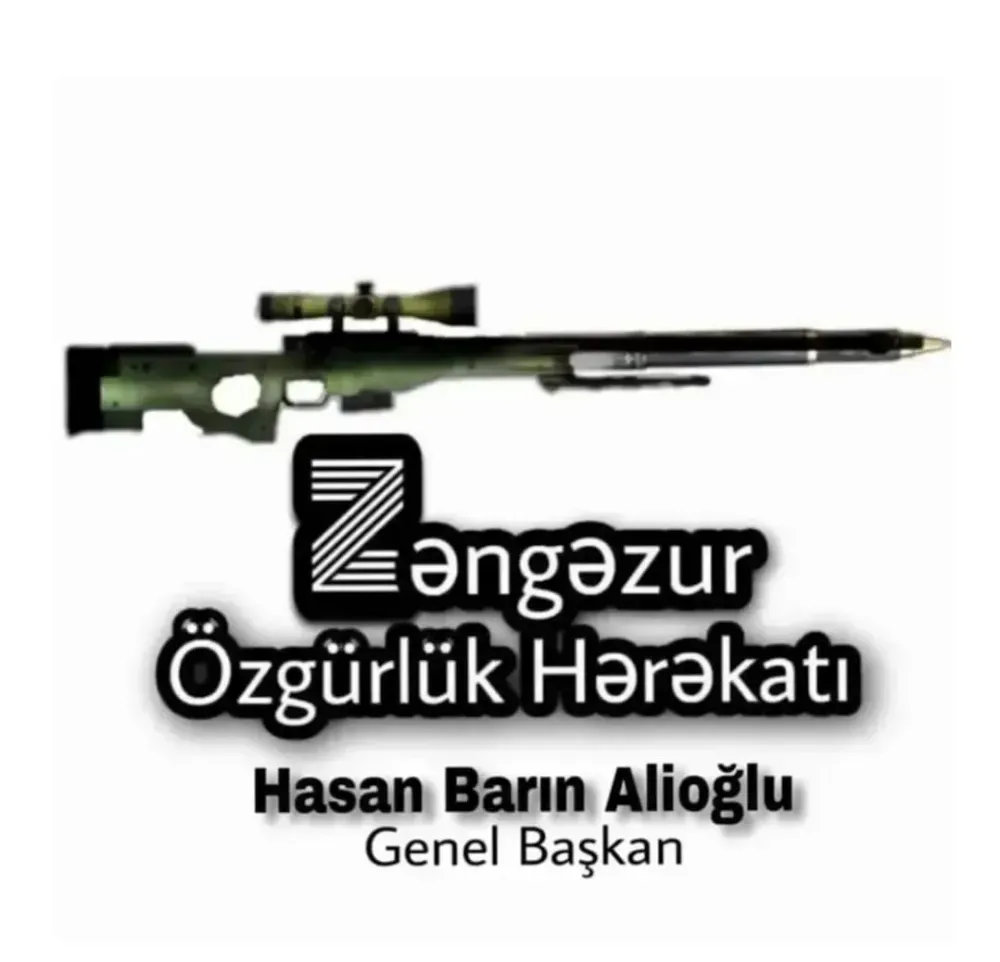 Zengezur Özgürlük Harekatı; Türkiye