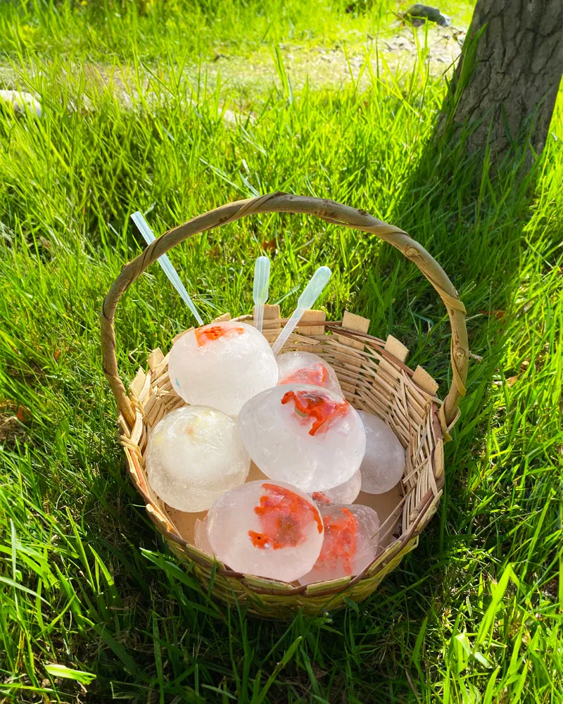 FYZoo’dan Serinletici Yaz Etkinliği: 