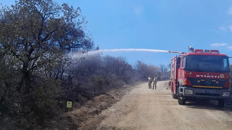 Pamukova yangını söndürülerek büyük bir tehlikenin önüne geçildi 