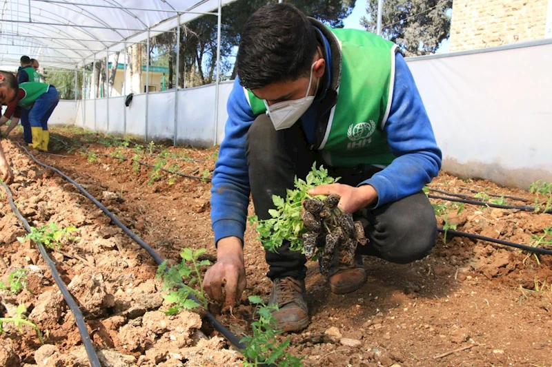İHH öşür çalışmaları ile on binlerce ihtiyaç sahibine ulaştı  - Videolu Haber
