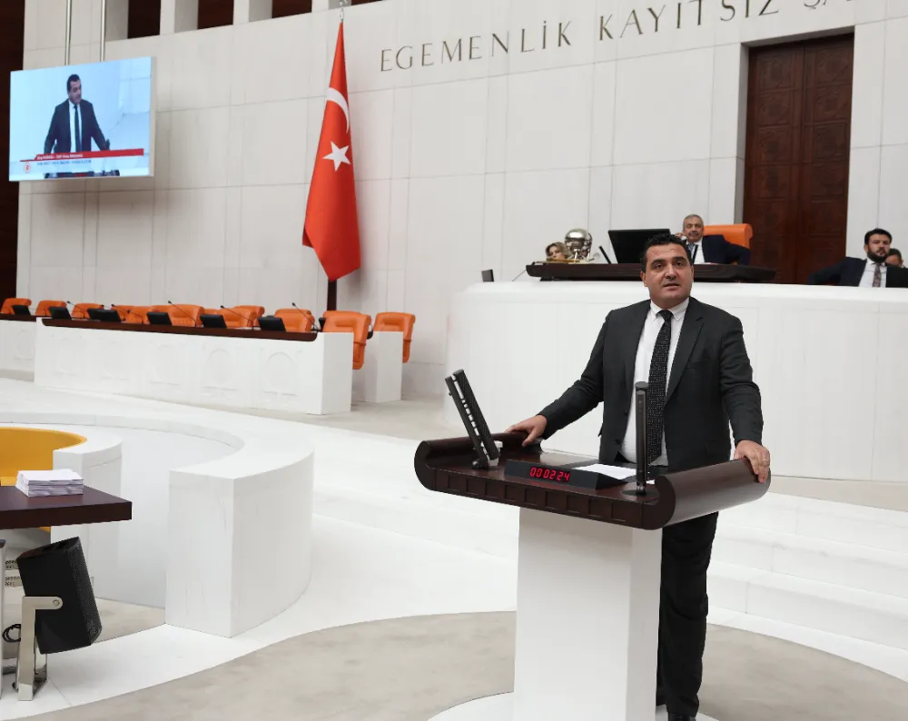“İKTİDAR VE AVANELERİ İNTERNETE FAHİŞ FİYATLARA KILIF ARIYOR”