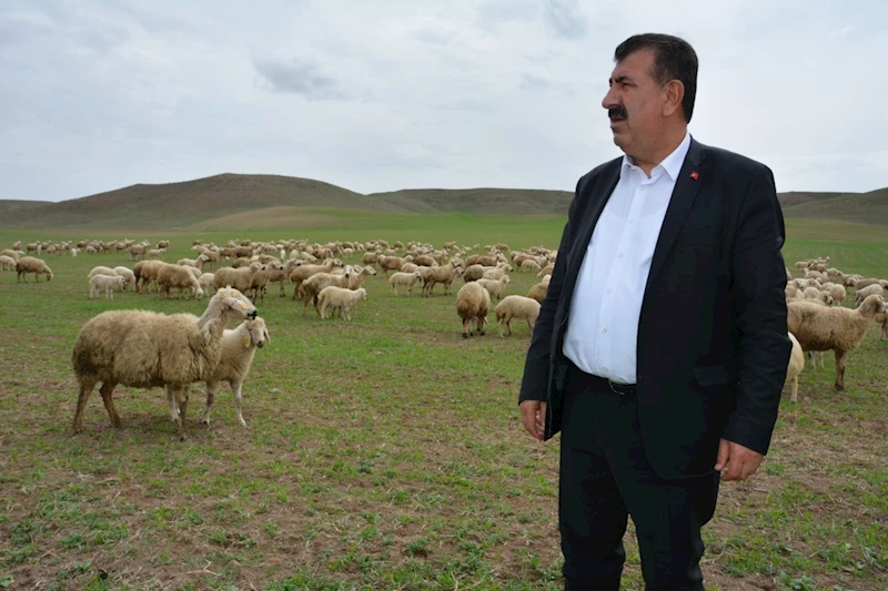 Küçükbaş hayvan sayısında artış: TÜDKİYEB Başkanı Çelik’ten açıklama 