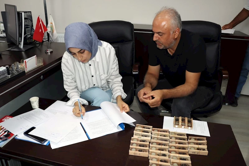 Arıcılara 200 Damızlık Kafkas Irkı Ana Arı dağıtıldı 