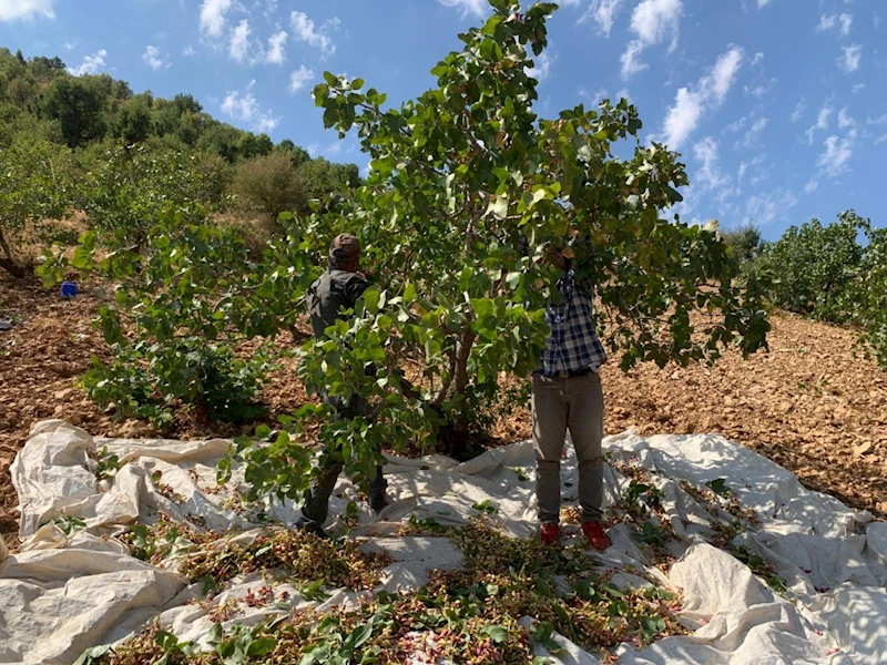 Adıyaman Damdırmaz Köyü