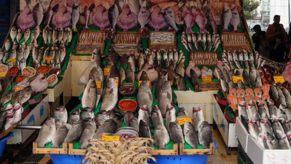 Balık fiyatları yüzde 20 arttı! Palamut balığının fiyatı şok etti