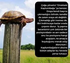 Direkteki Kaplumbağa: Liyakatsiz Liderlerin Trajikomik Tablosu