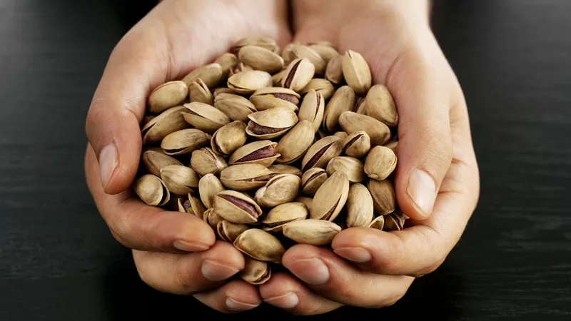 Türkiye’nin fıstık ihracatı 9 ayda 153 milyon dolara ulaştı