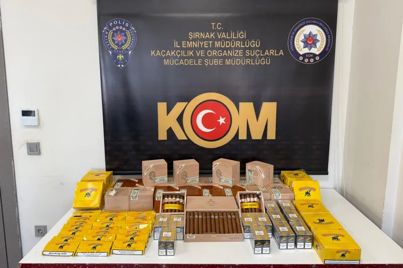 Şırnak’ta 10 yıl hapis cezası bulunan şahıs yakalandı