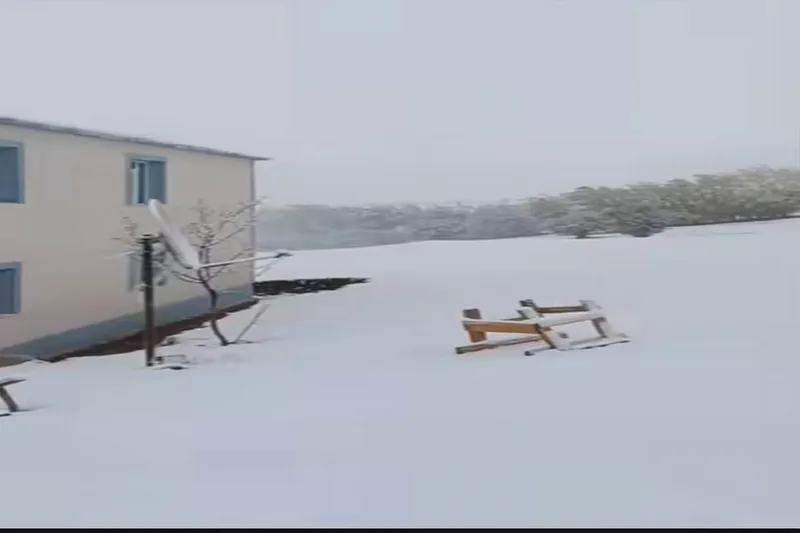 Karlıova’da kar yağışı etkili oldu