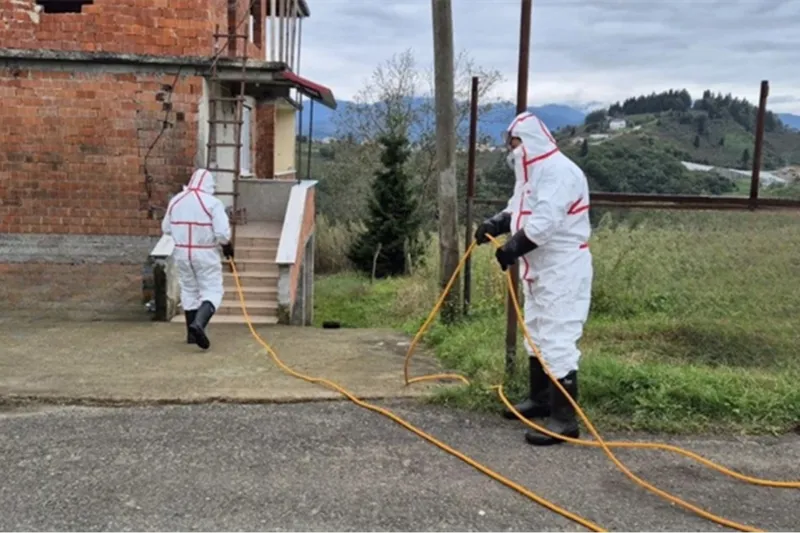 1 milyondan fazla hane, kahverengi kokarcaya karşı ilaçlandı