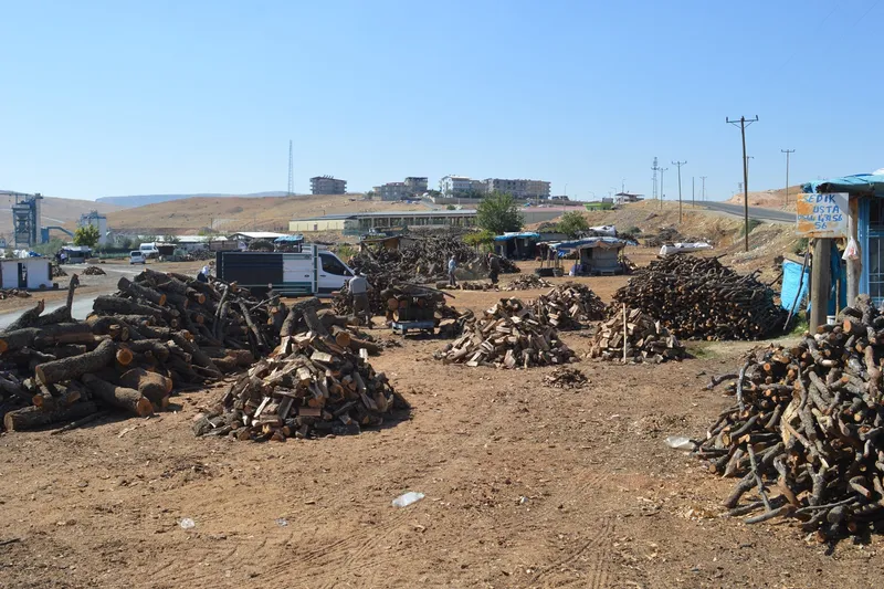 Havalar soğumaya başladı, odun fiyatları cep yakıyor
