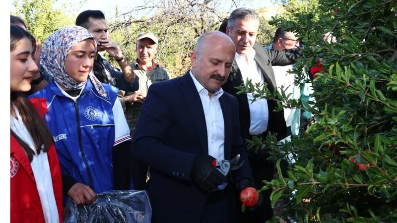 Adıyaman’da gönüllü gençlerle nar hasadı gerçekleştirildi 