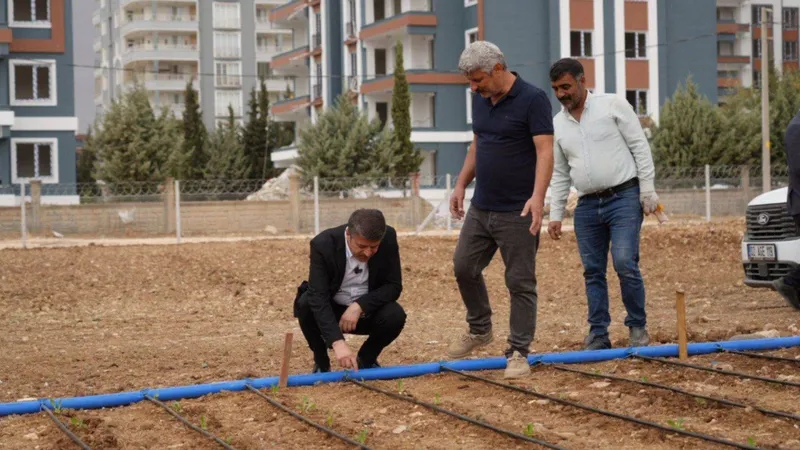 Adıyaman Belediyesi’nden ihtiyaç sahiplerine yönelik sebze üretimi  - Videolu Haber