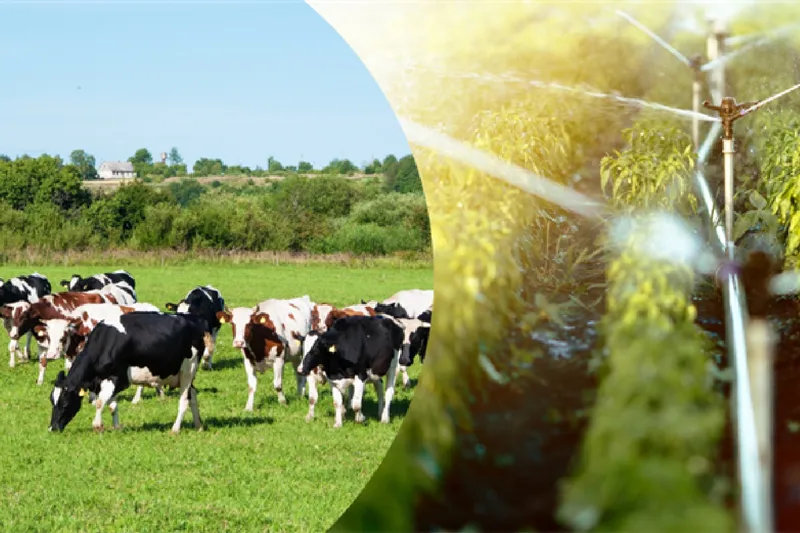 Çiftçilere 471 milyon liralık destekleme ödemesi bugün yapılacak