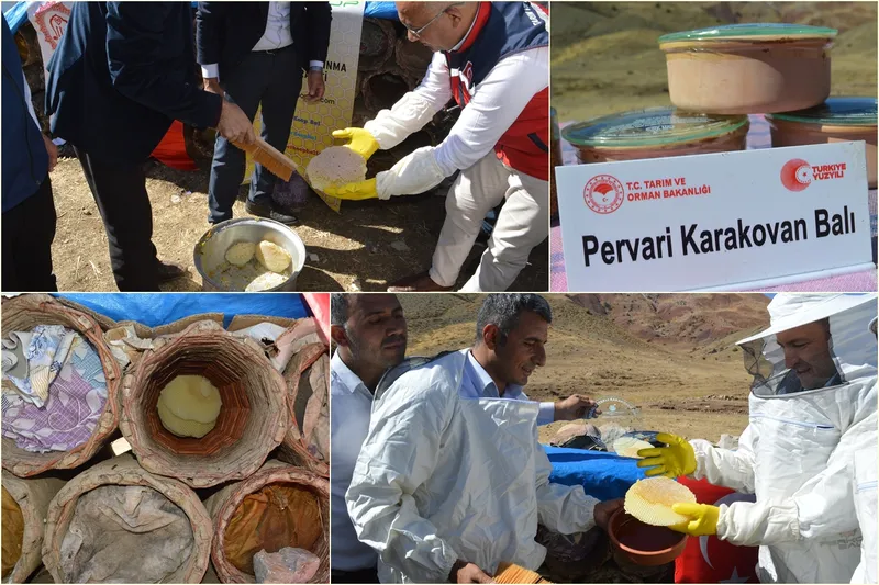  Türkiye’nin en kaliteli balları arasında yer alan Pervari balının hasadı başladı