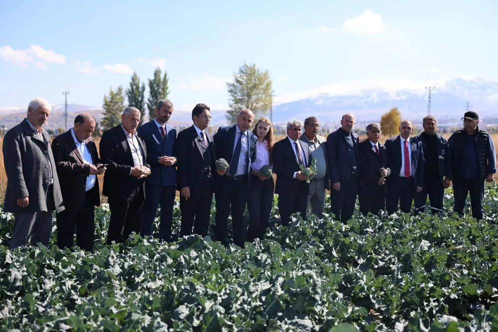 Erzurum’da Tarımda Yeni Bir Dönem: İkinci Ürün Brokoli Hasadı Gerçekleştirildi 