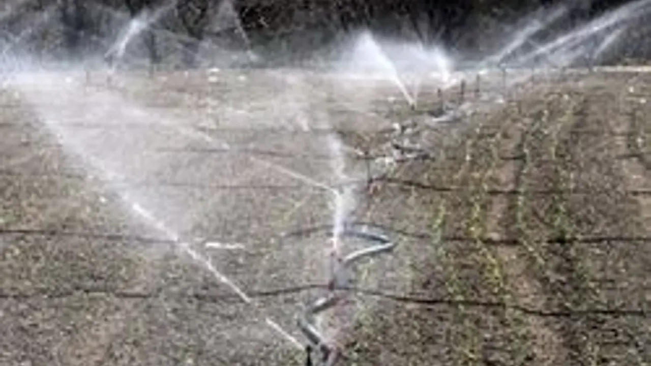 Ziraat Odası Başkanı Mustafa Ateş: Damla sulamaya geçmeliyiz