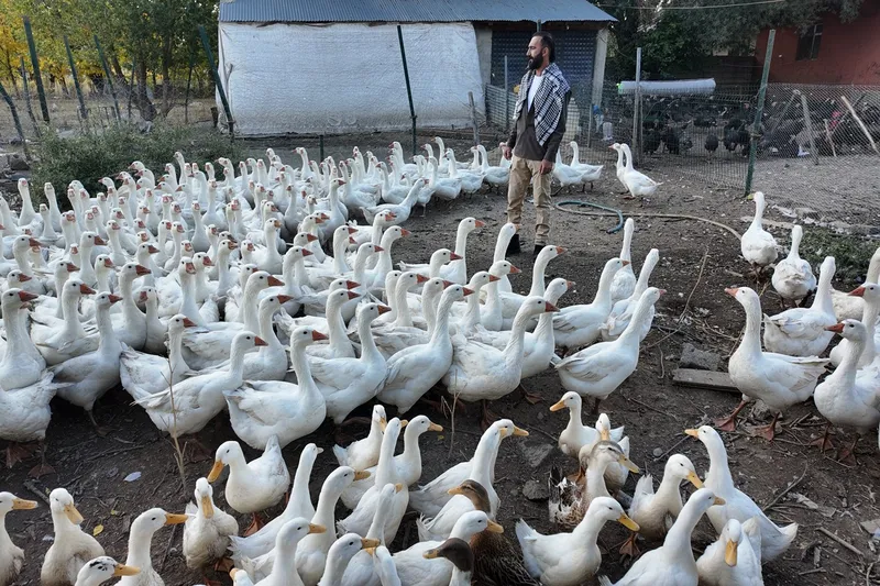 Beslediği kanatlı hayvanlarla kurduğu sıcak bağ tebessüm ettiriyor