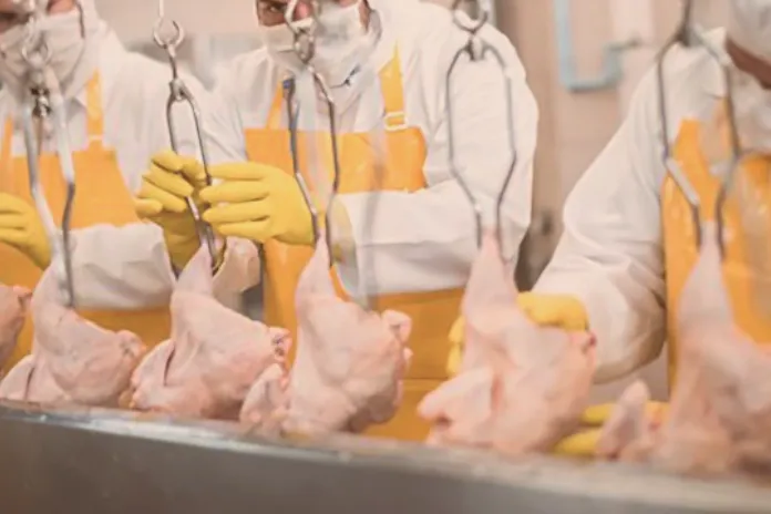 Filipinler’e kanatlı eti ve su ürünleri yolu açıldı