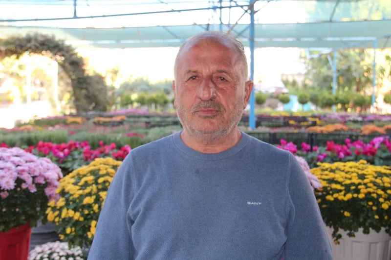 Bitki sezonu başladı: Kasımpatiler tezgâhlarda