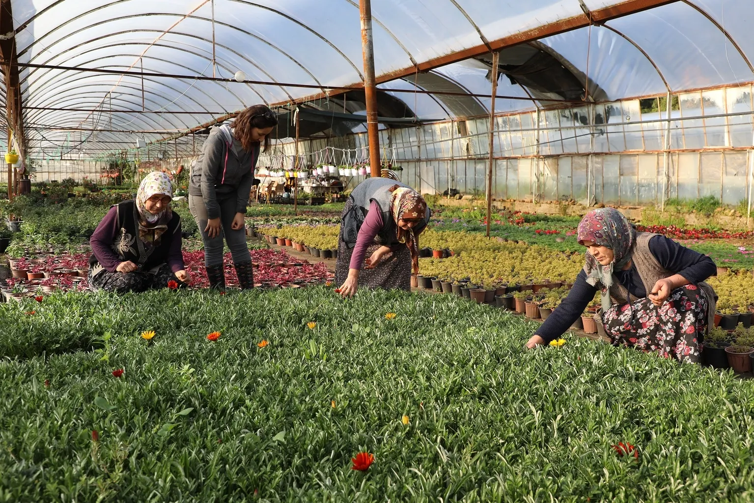 Muğla’da kadın emeğiyle gelecek inşa ediliyor