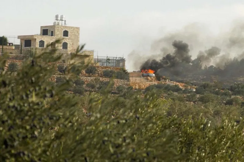 Siyonist Yahudiler zeytin toplayan Filistinlilere saldırdı