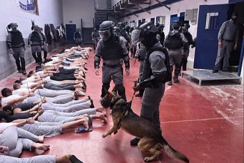 Sde Teiman vahşeti: En az 135 Filistinlinin işkence izleri taşıyan naaşı Gazze