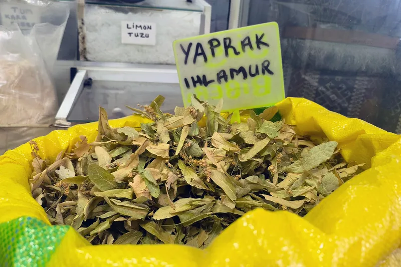 Kış gelmeden tükeniyor! Adana’da şifa arayanların ilk durağı